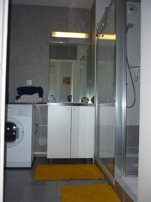 T3 De 70 M2 Idealement Situe Avec Garage Appartement